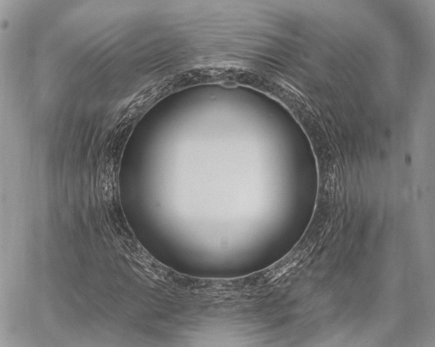 X0000062671014200601041004