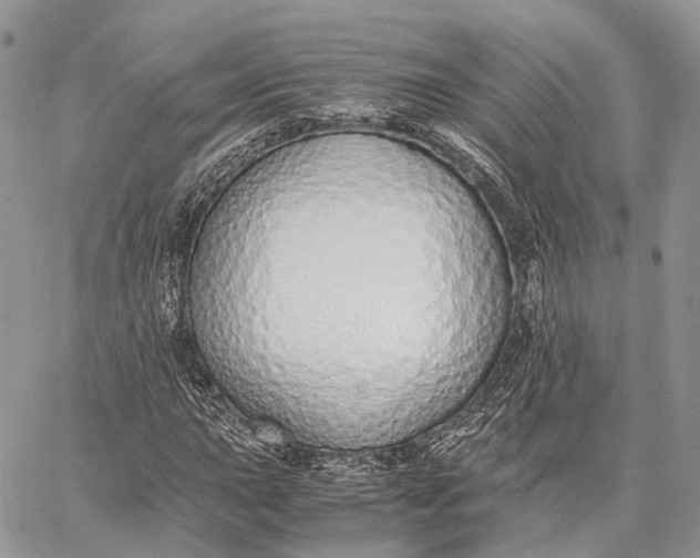 X0000062671015200601041004