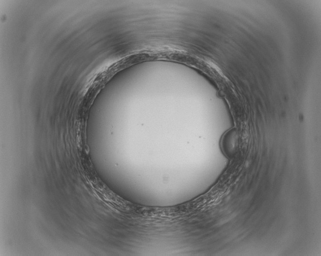 X0000062671016200601041004