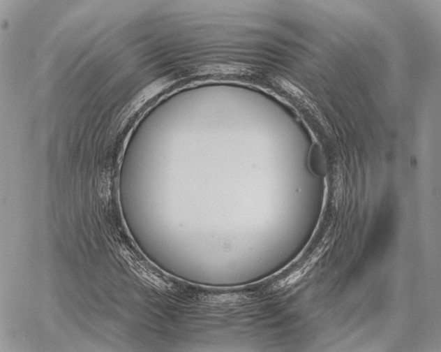 X0000062671017200601041004