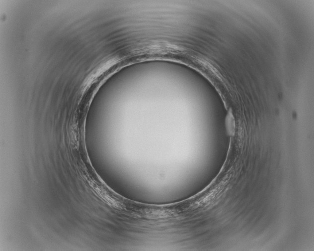 X0000062671018200601041004