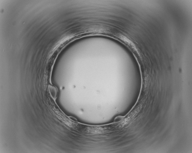 X0000062671019200601041004