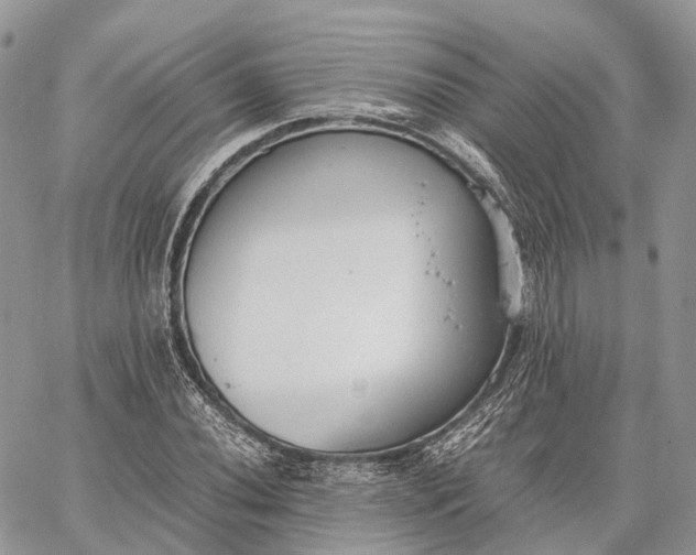 X0000062671020200601041004