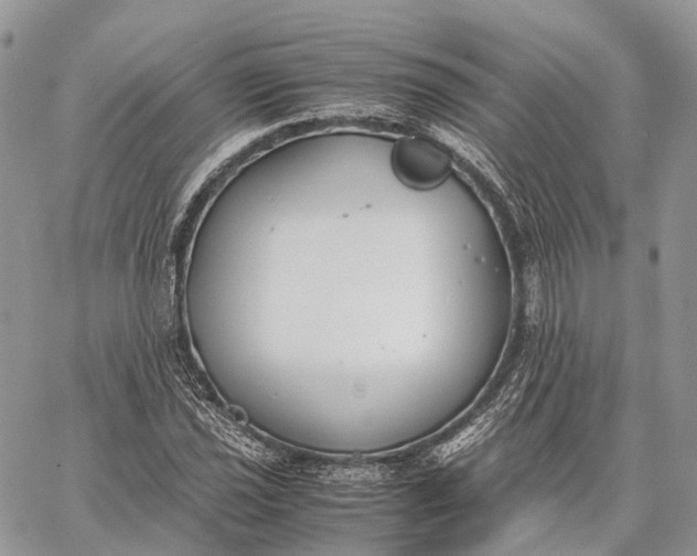 X0000062671021200601041004