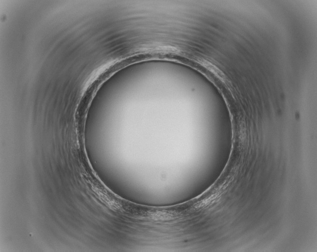 X0000062671022200601041004