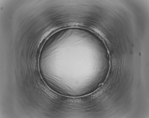 X0000062671023200601041004