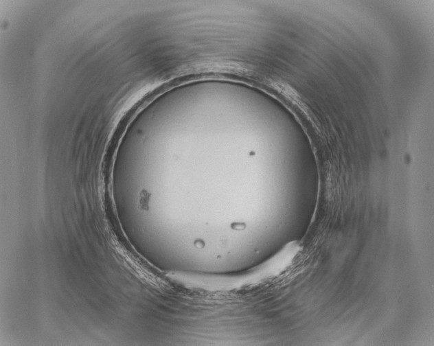 X0000062671024200601041004