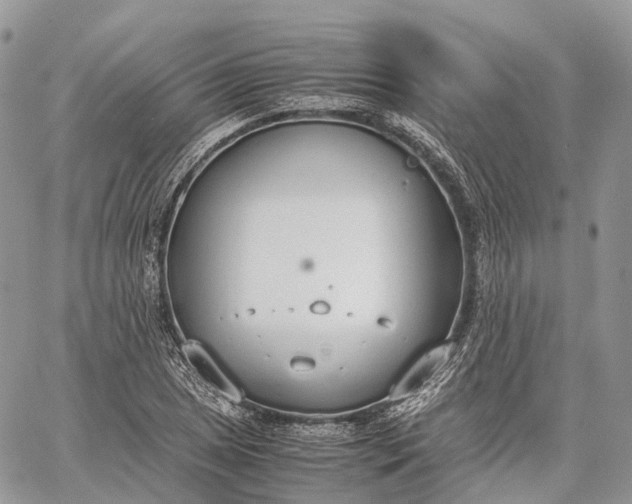 X0000062671025200601041004