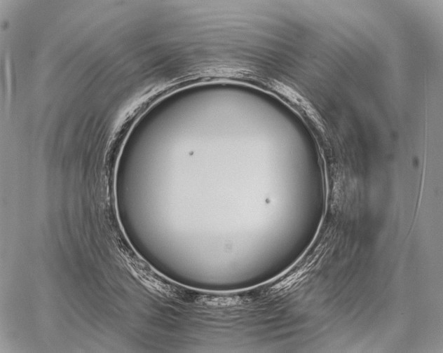 X0000062671027200601041004