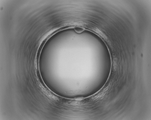 X0000062671028200601041004