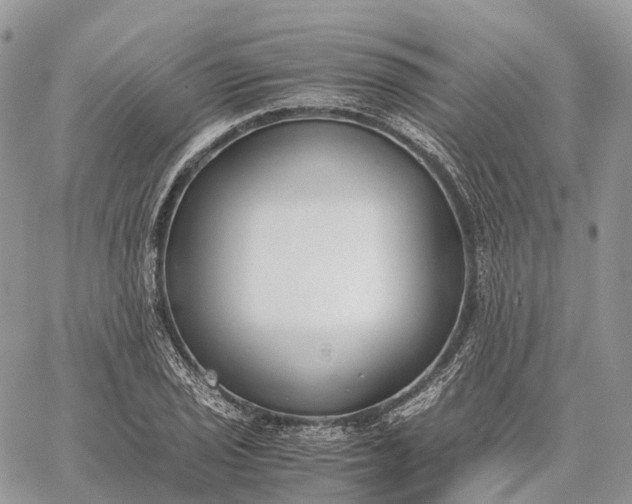 X0000062671029200601041004