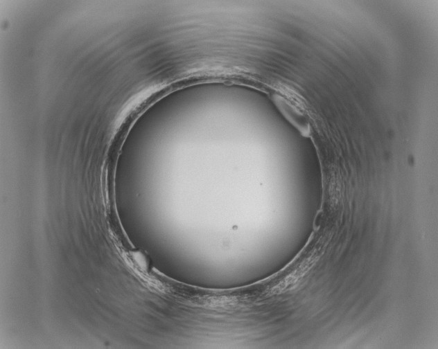 X0000062671030200601041004