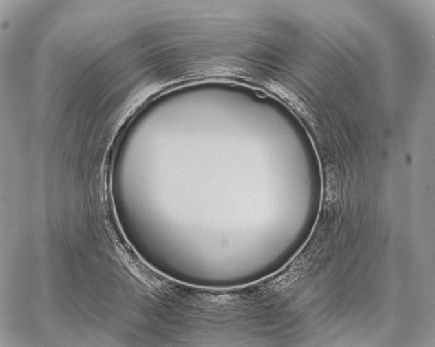 X0000062671031200601041004