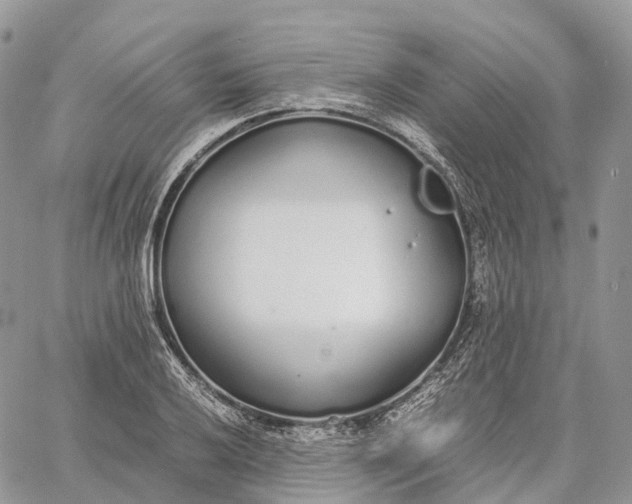 X0000062671032200601041004