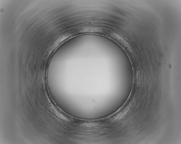 X0000062671033200601041004