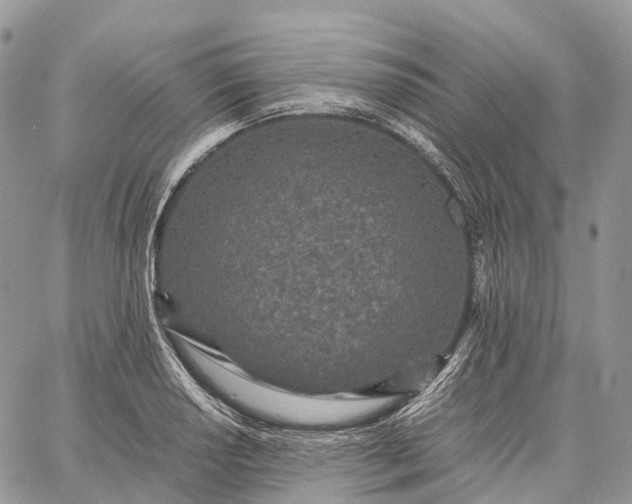 X0000062671034200601041004