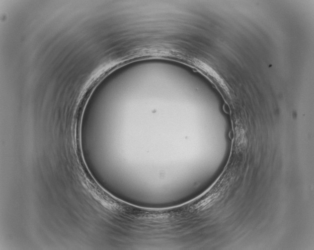 X0000062671035200601041004