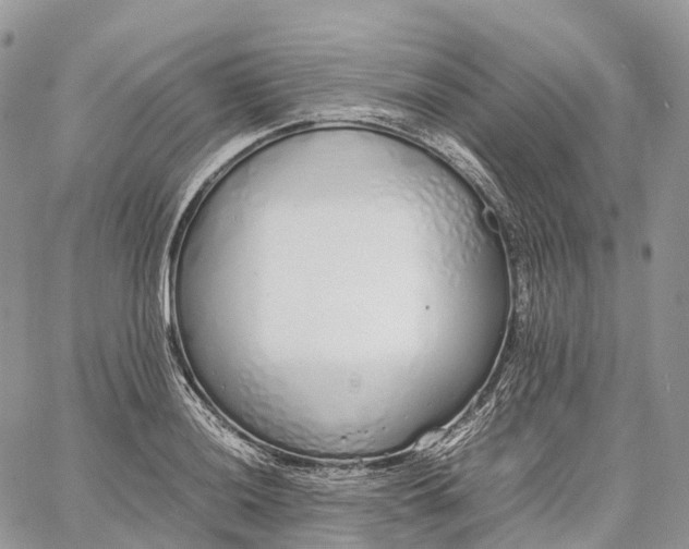 X0000062671036200601041004