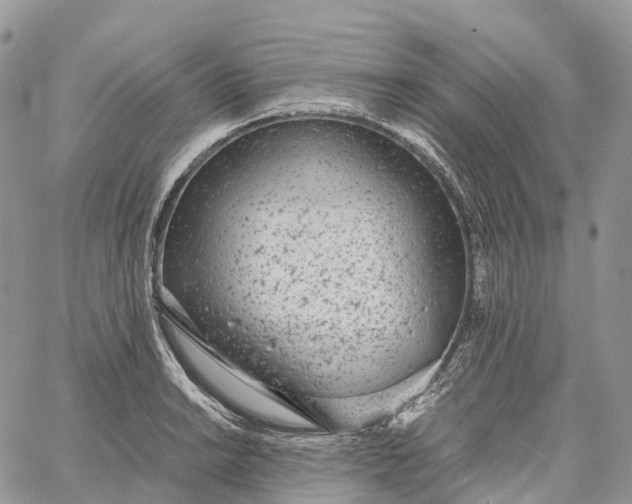 X0000062671038200601041004