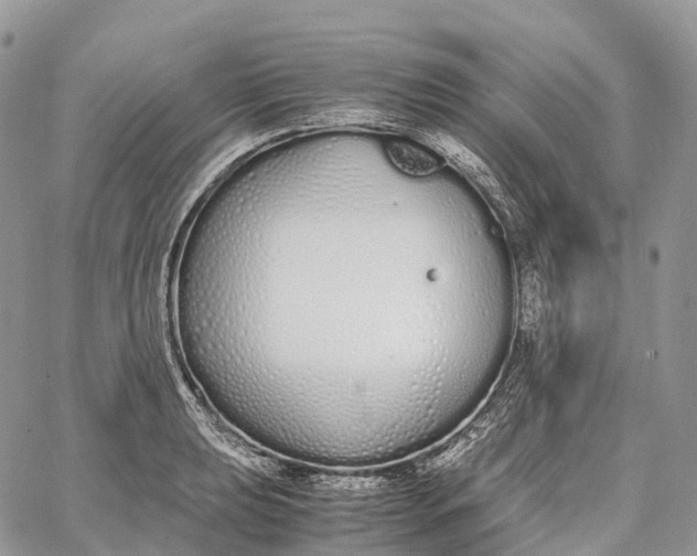 X0000062671039200601041004