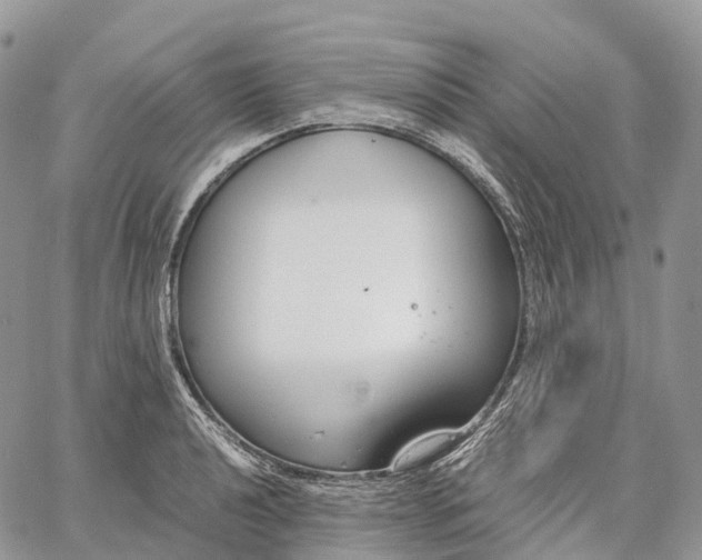 X0000062671040200601041004