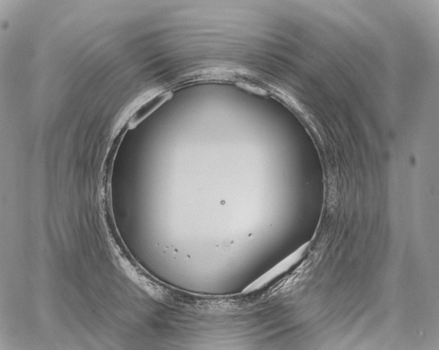 X0000062671042200601041004