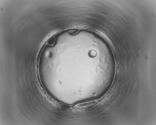 X0000062671043200601041004