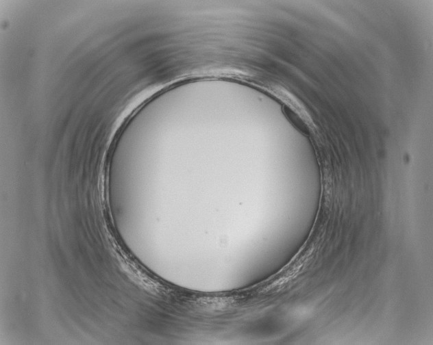 X0000062671044200601041004