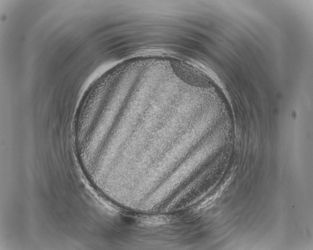 X0000062671045200601041004