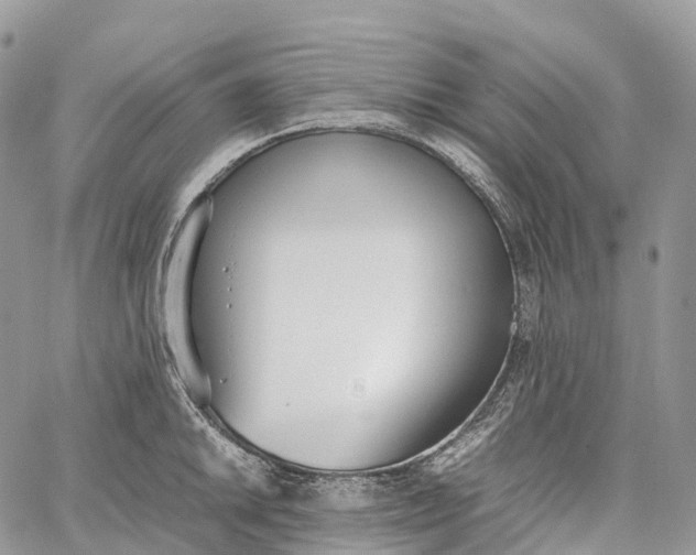 X0000062671046200601041004