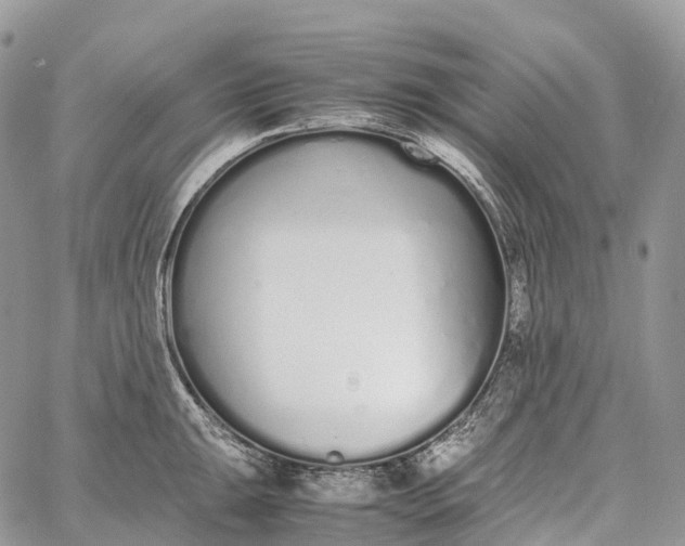 X0000062671047200601041004