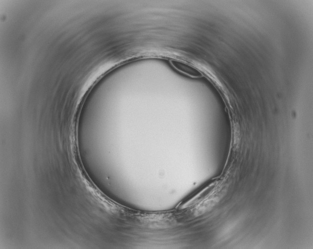 X0000062671048200601041004