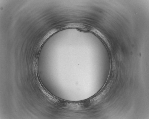 X0000062671049200601041004