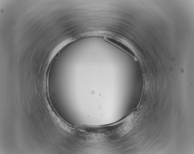 X0000062671050200601041004