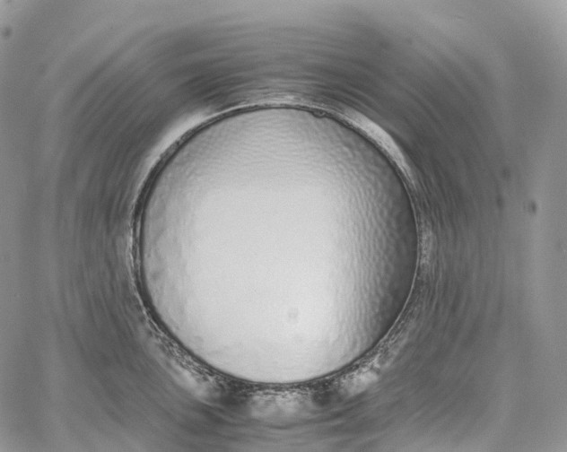 X0000062671051200601041004