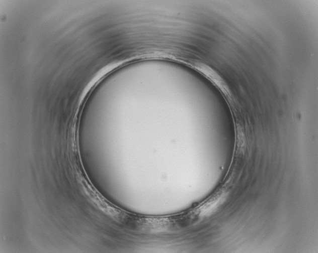 X0000062671052200601041004