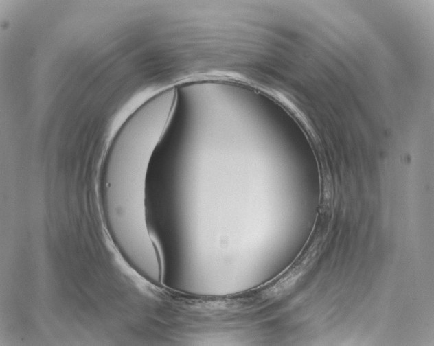 X0000062671054200601041004