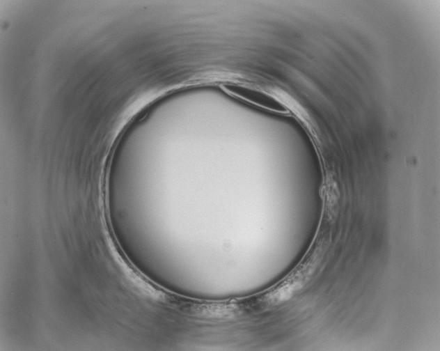 X0000062671055200601041004