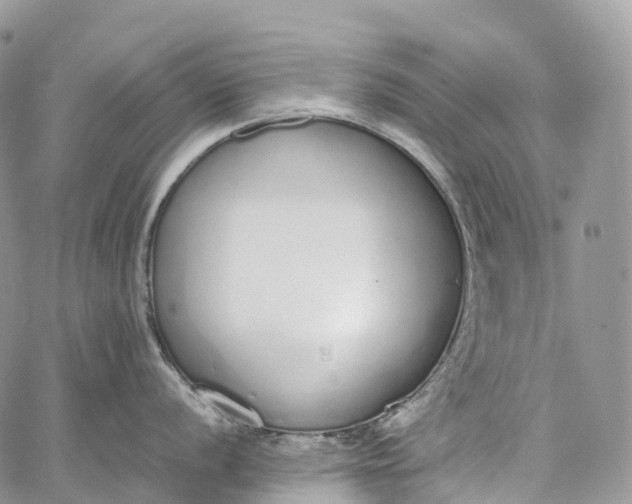 X0000062671056200601041005