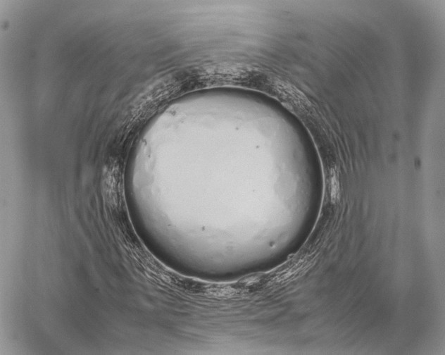 X0000062671059200601041004