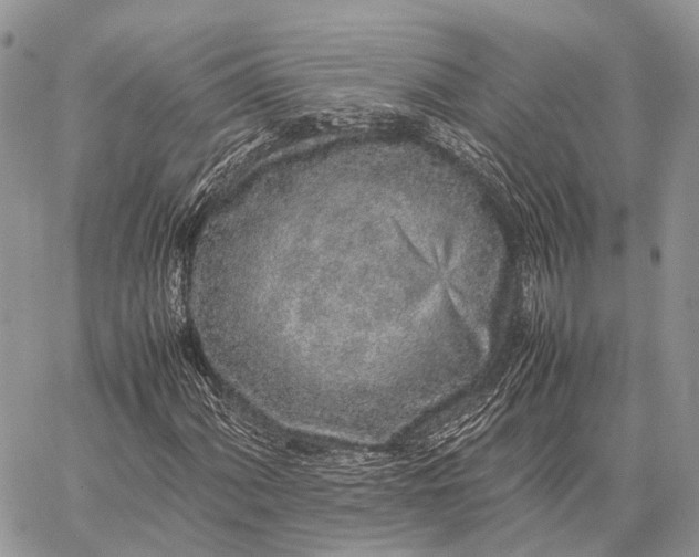 X0000062671060200601041004