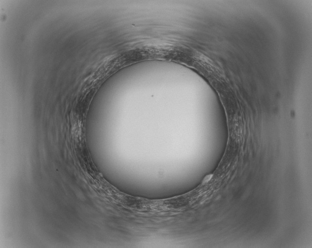 X0000062671061200601041004