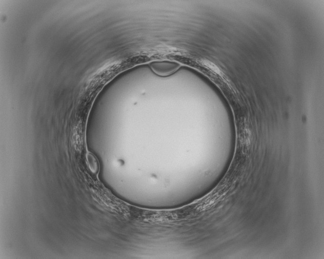 X0000062671063200601041004