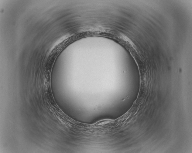 X0000062671064200601041004