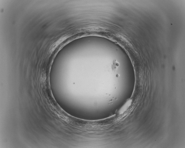 X0000062671065200601041004