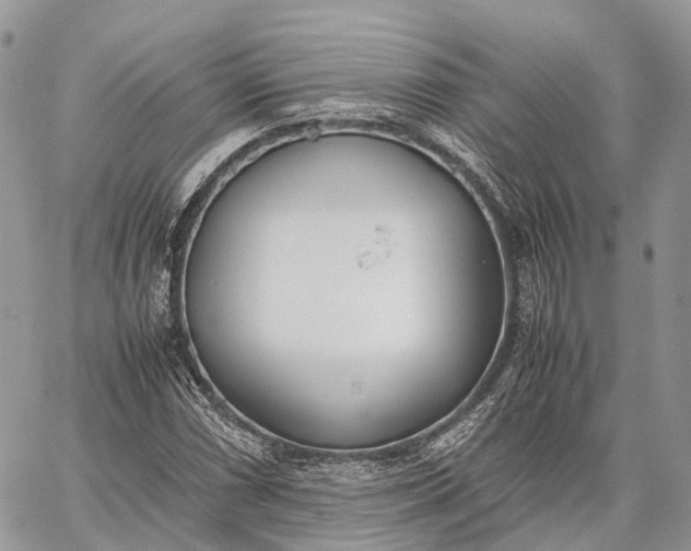 X0000062671066200601041004