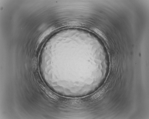 X0000062671067200601041004