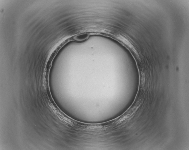 X0000062671068200601041004