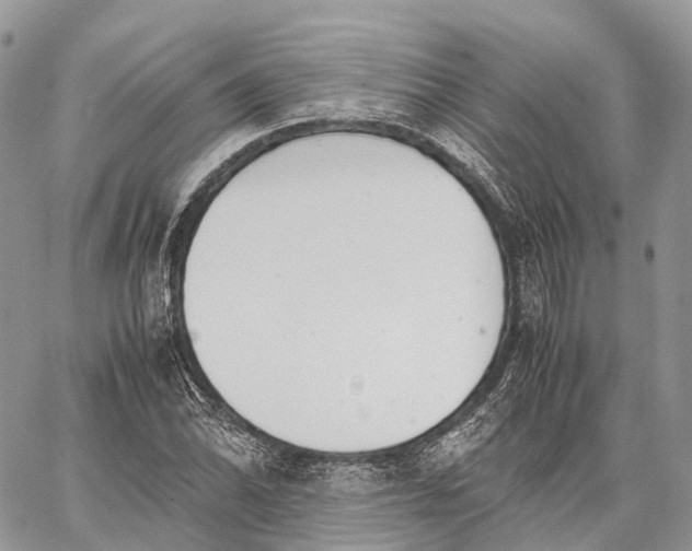 X0000062671070200601041003