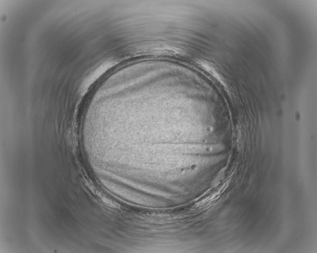 X0000062671071200601041003